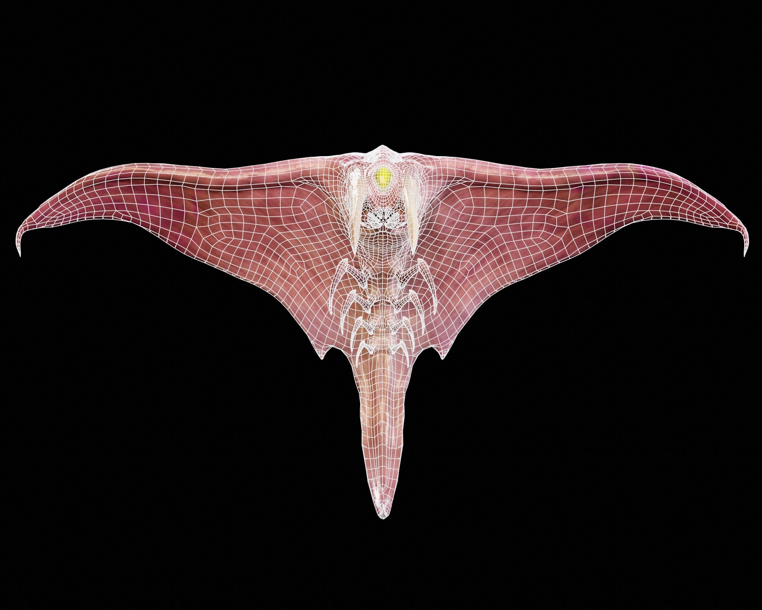 Sci-Fi Alien Bug Creature  Low-poly 3D model_5