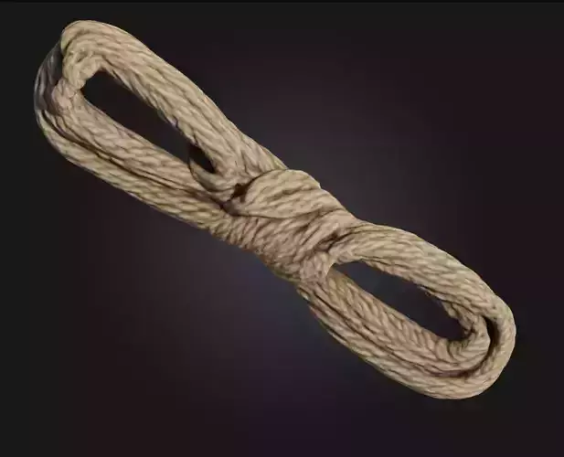 Tangled Coil  Realistic Detail of Disordered Wiring