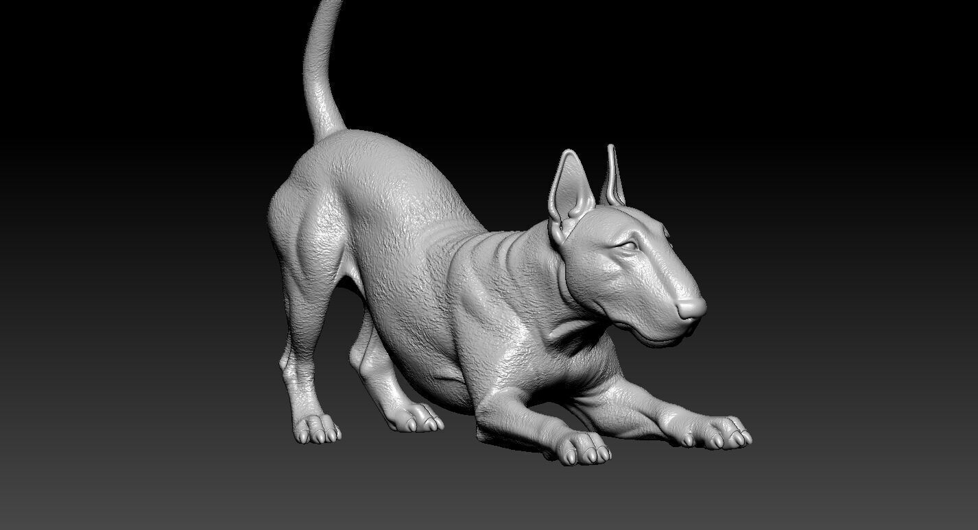 Bull Terrier Dog model - Bully Dog statue - 3D print 3D print model_7