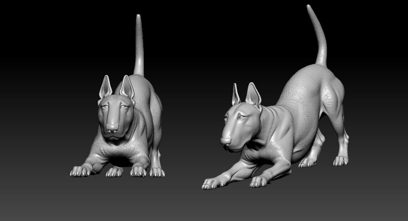 Bull Terrier Dog model - Bully Dog statue - 3D print 3D print model_6