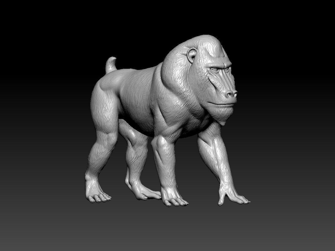 Baboon model - King Kong statue - Monkey decor - 3D print 3D print model_2