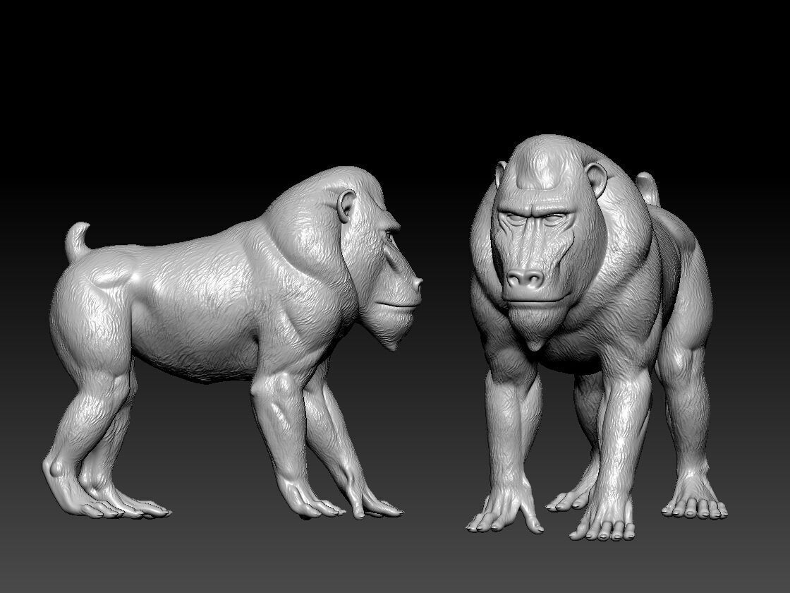 Baboon model - King Kong statue - Monkey decor - 3D print 3D print model_1