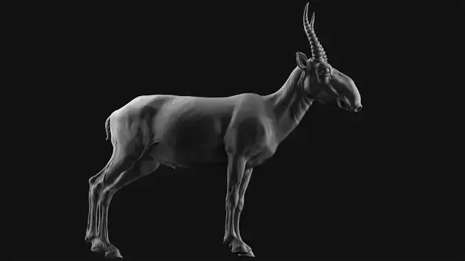 Saiga - TPose 3D model