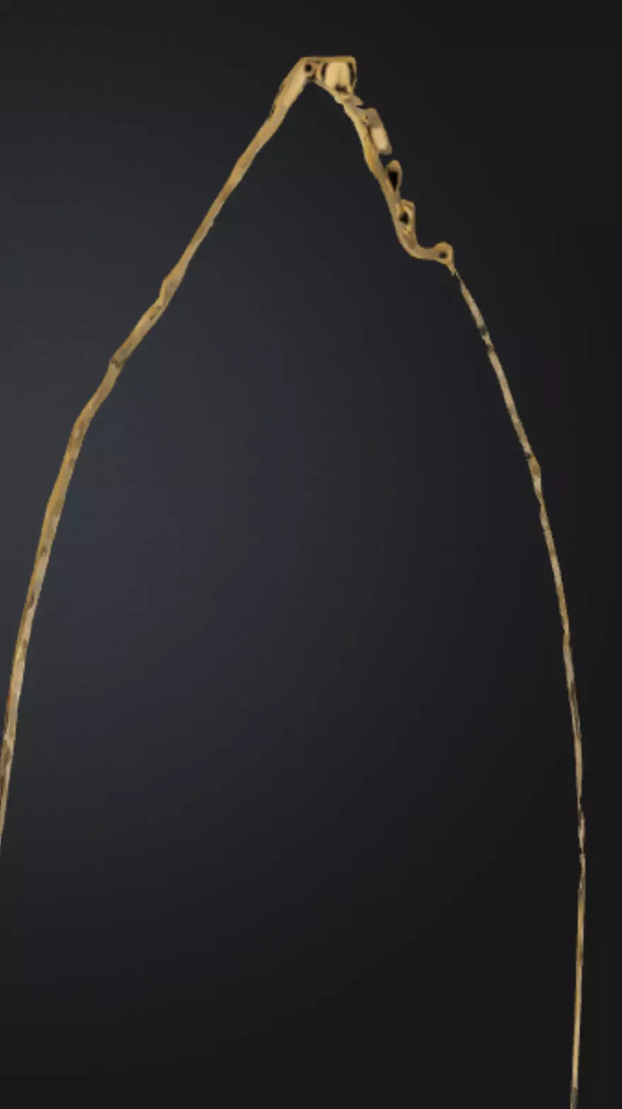 Gold necklace  3D model_0