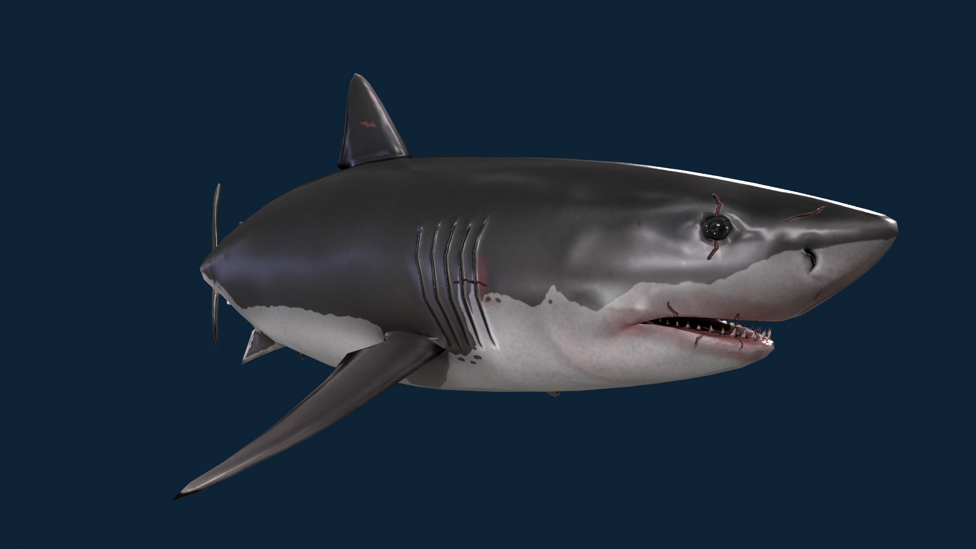 Realistic Shark Rigged and Animated for VR AR Games Low-poly 3D model_2