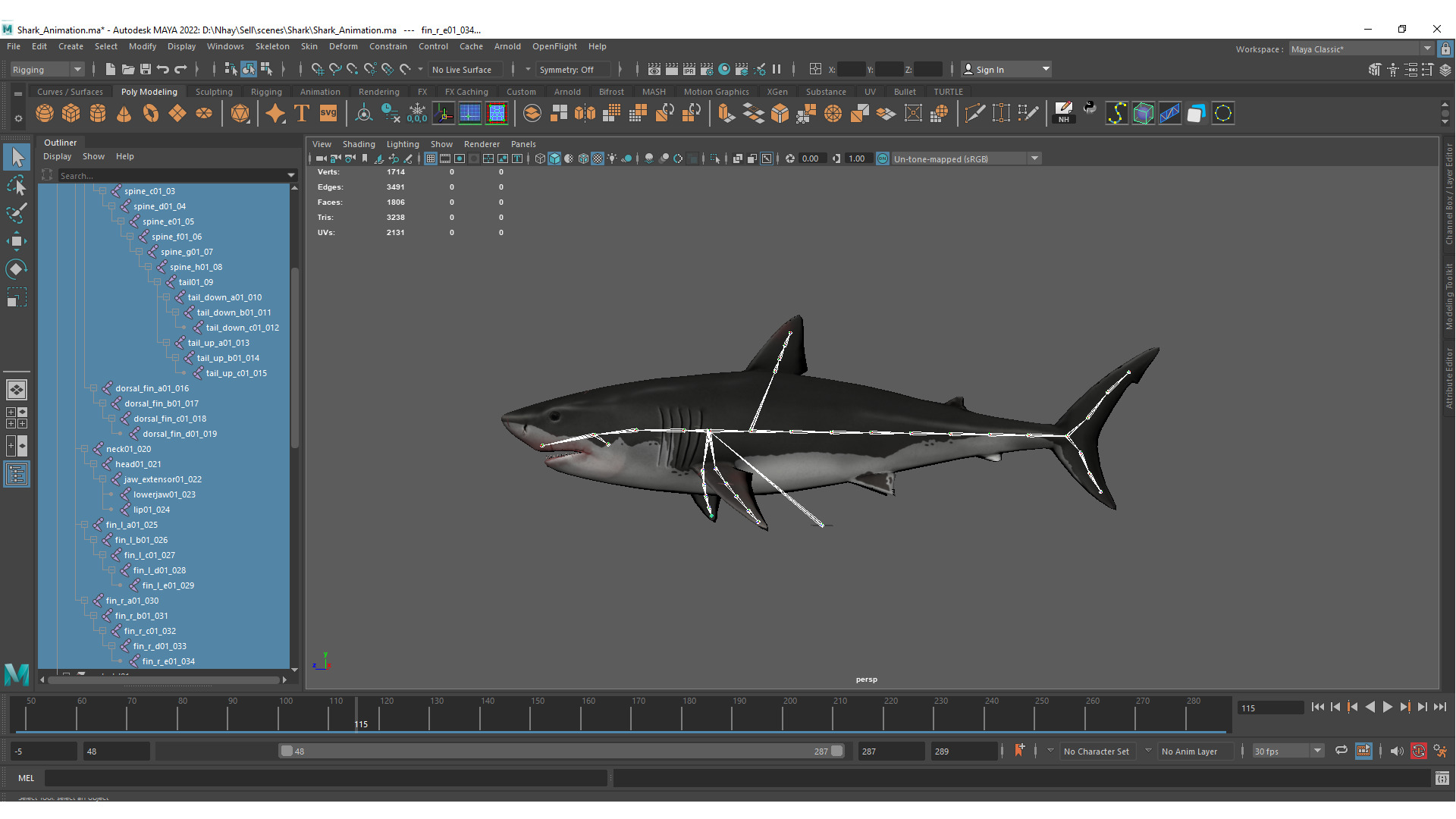 Realistic Shark Rigged and Animated for VR AR Games Low-poly 3D model_11