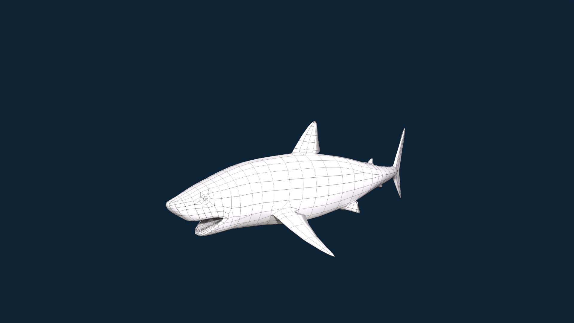 Realistic Shark Rigged and Animated for VR AR Games Low-poly 3D model_10