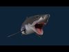 Realistic Shark Rigged and Animated for VR AR Games Low-poly 3D model_1