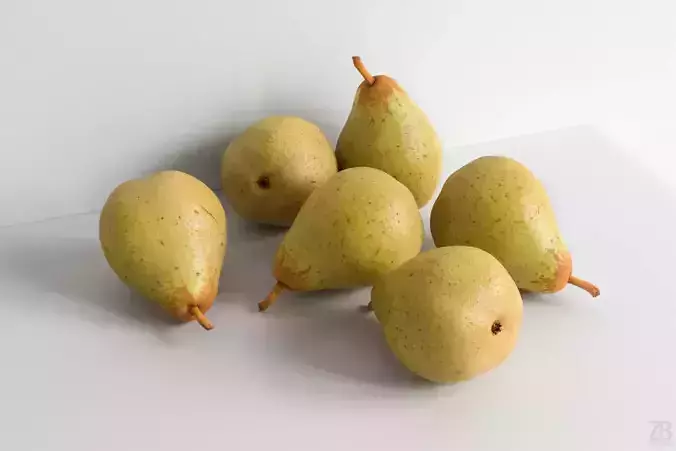 Pear  3D model