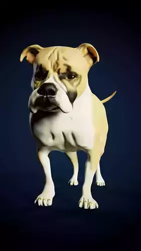 Bulldog