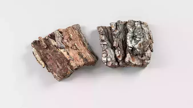 Tree Bark - 3D scan
