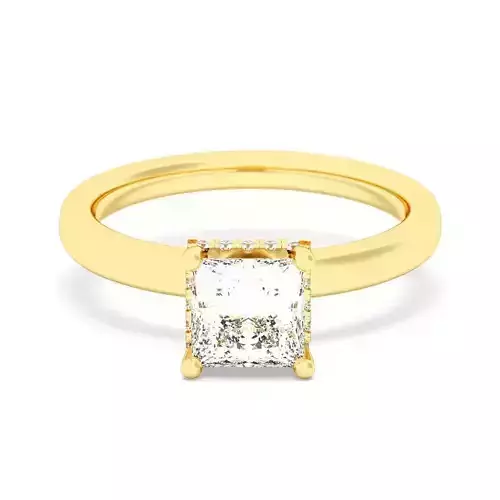 PRINCESS Cut Hidden Halo Engagement Ring