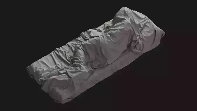 Single Bed with Sleeping Person