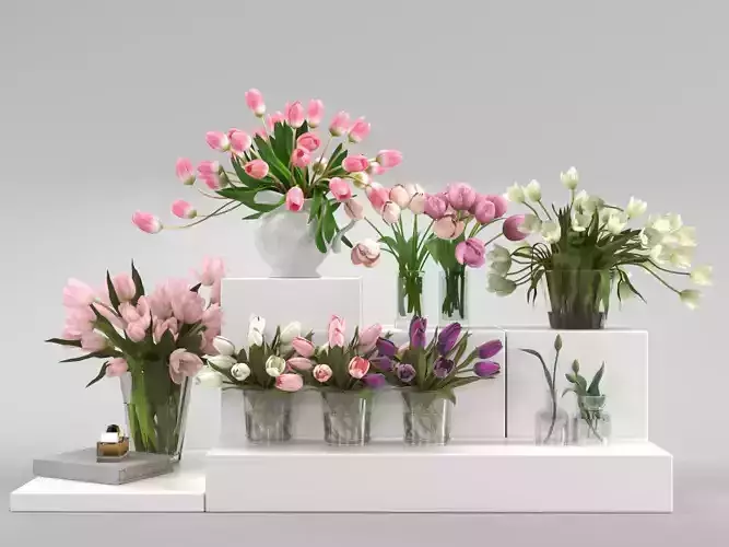 Tulip Flower Arrangement in Glass Vases