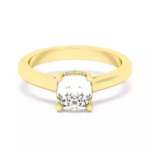 Cushion Cut Hidden Halo Engagement Ring