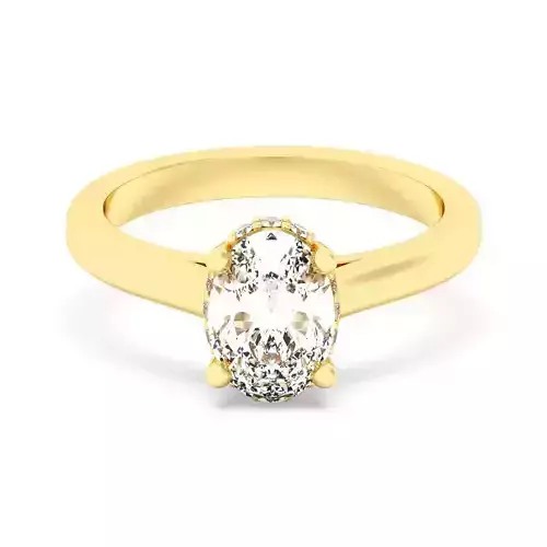 Oval Cut Hidden Halo Engagement Ring