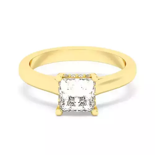 Princess Cut Hidden Halo Engagement Ring