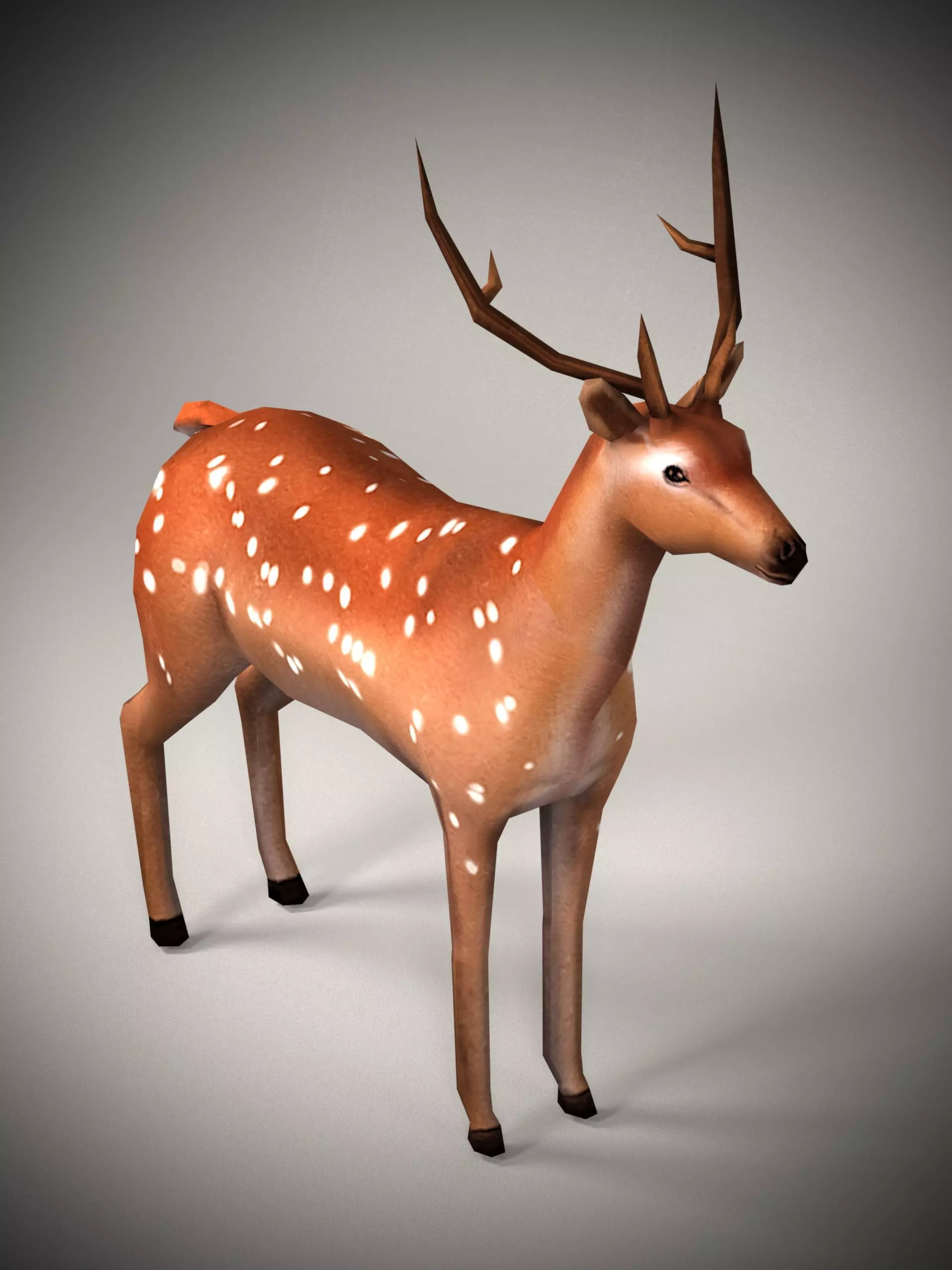 Realistic Deer Model 3D model_0