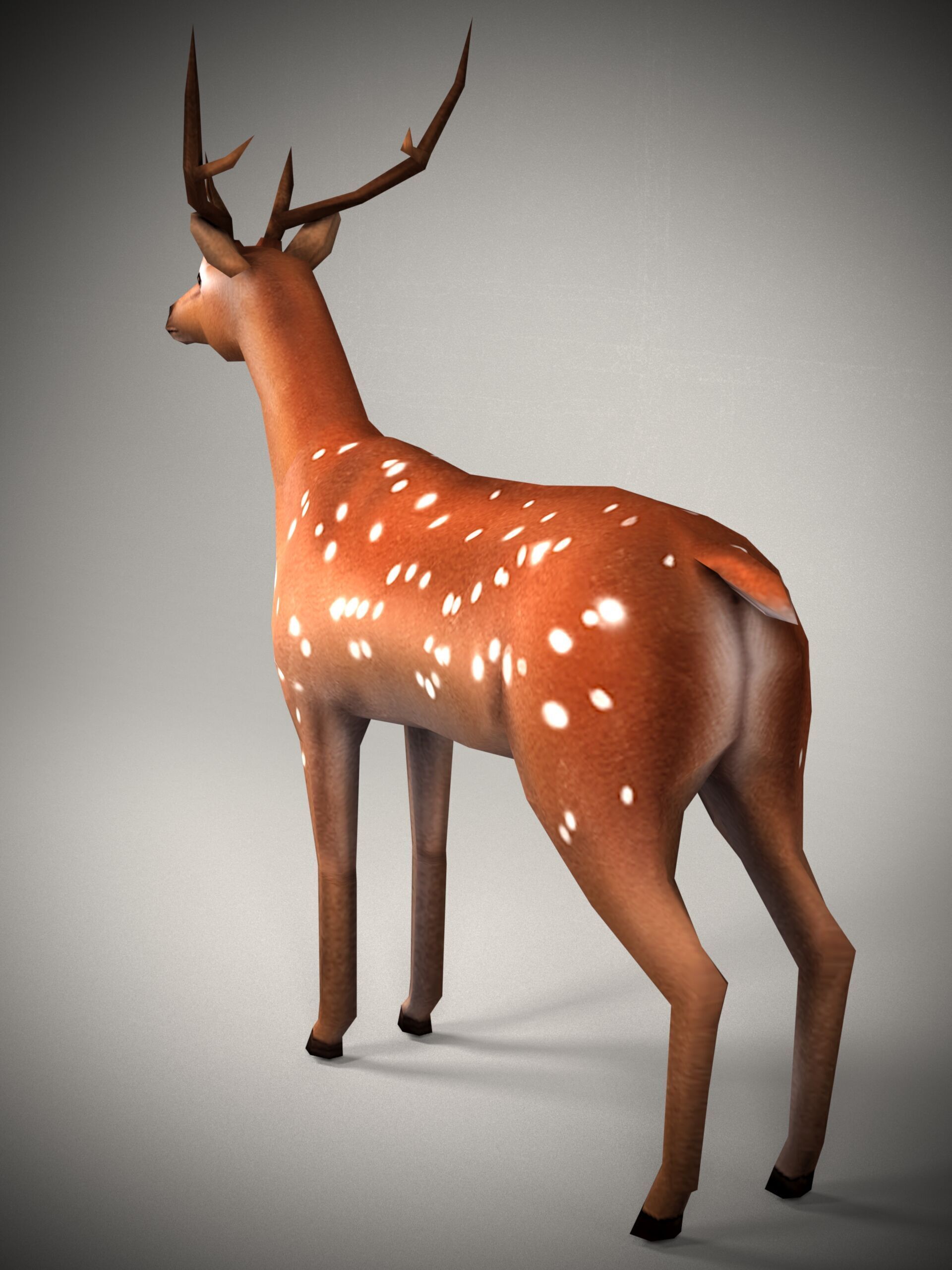 Realistic Deer Model 3D model_1