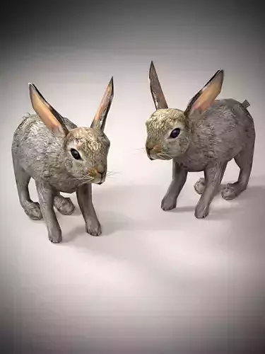 Adorable Rabbit Model 3D model