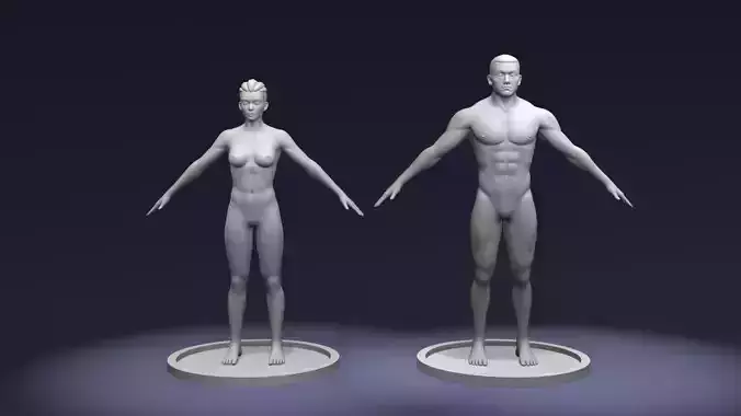Stylized Strong Male Female Body Base Mesh Rigged IK FK Switch Low-poly 3D model