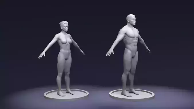 Stylized Strong Human Body Base Mesh 3D Model 3D Model Collection