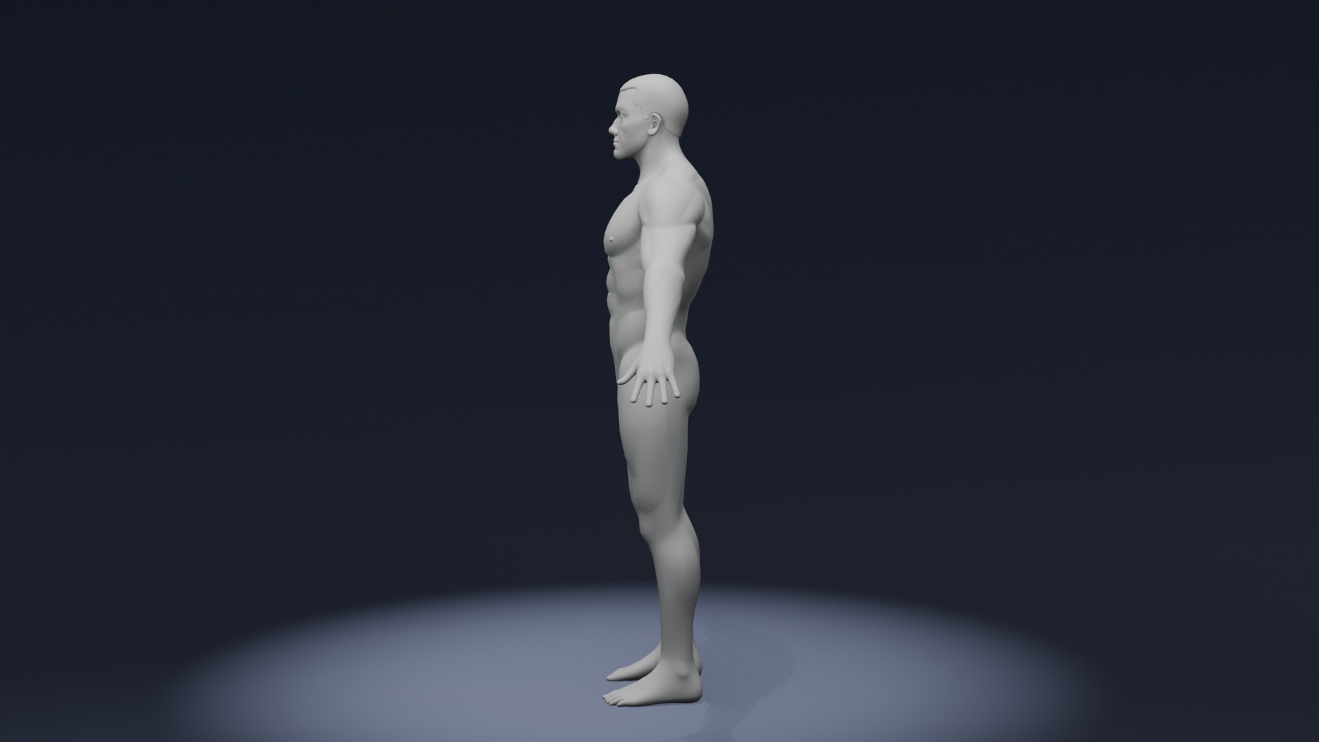 Stylized Strong Human Body Base Mesh 3D Model 3D Model Collection_11