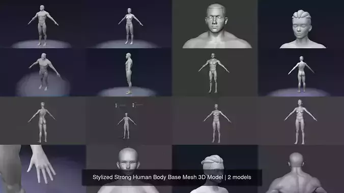 Stylized Strong Human Body Base Mesh 3D Model