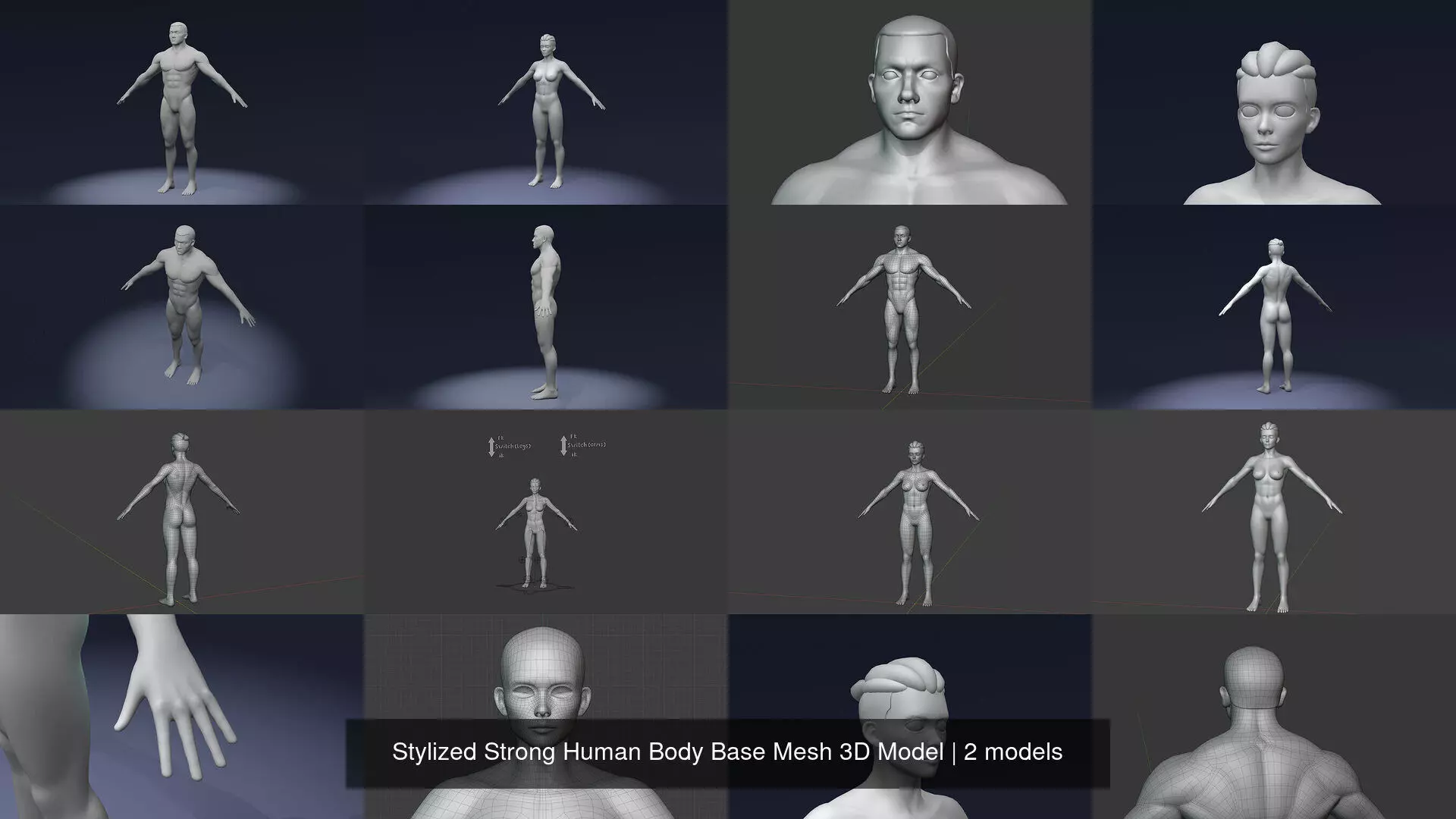 Stylized Strong Human Body Base Mesh 3D Model 3D Model Collection_5