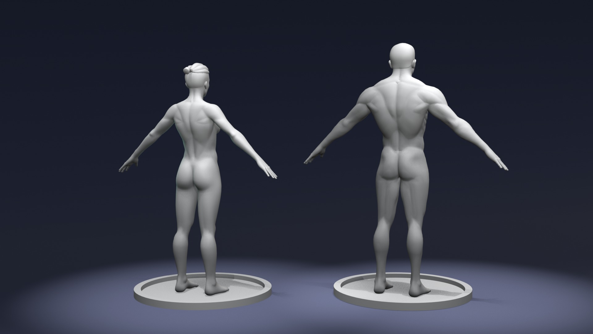 Stylized Strong Human Body Base Mesh 3D Model 3D Model Collection_6