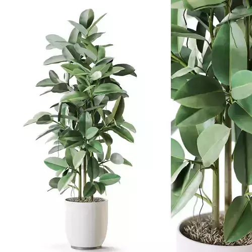 Plant 1256 3D model
