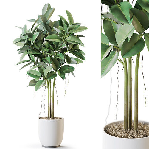 Plant 1257 3D model