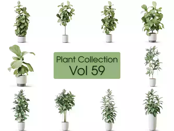 Plant Collection Vol 59 