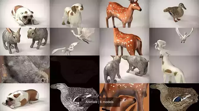 Animals 3D Model Collection