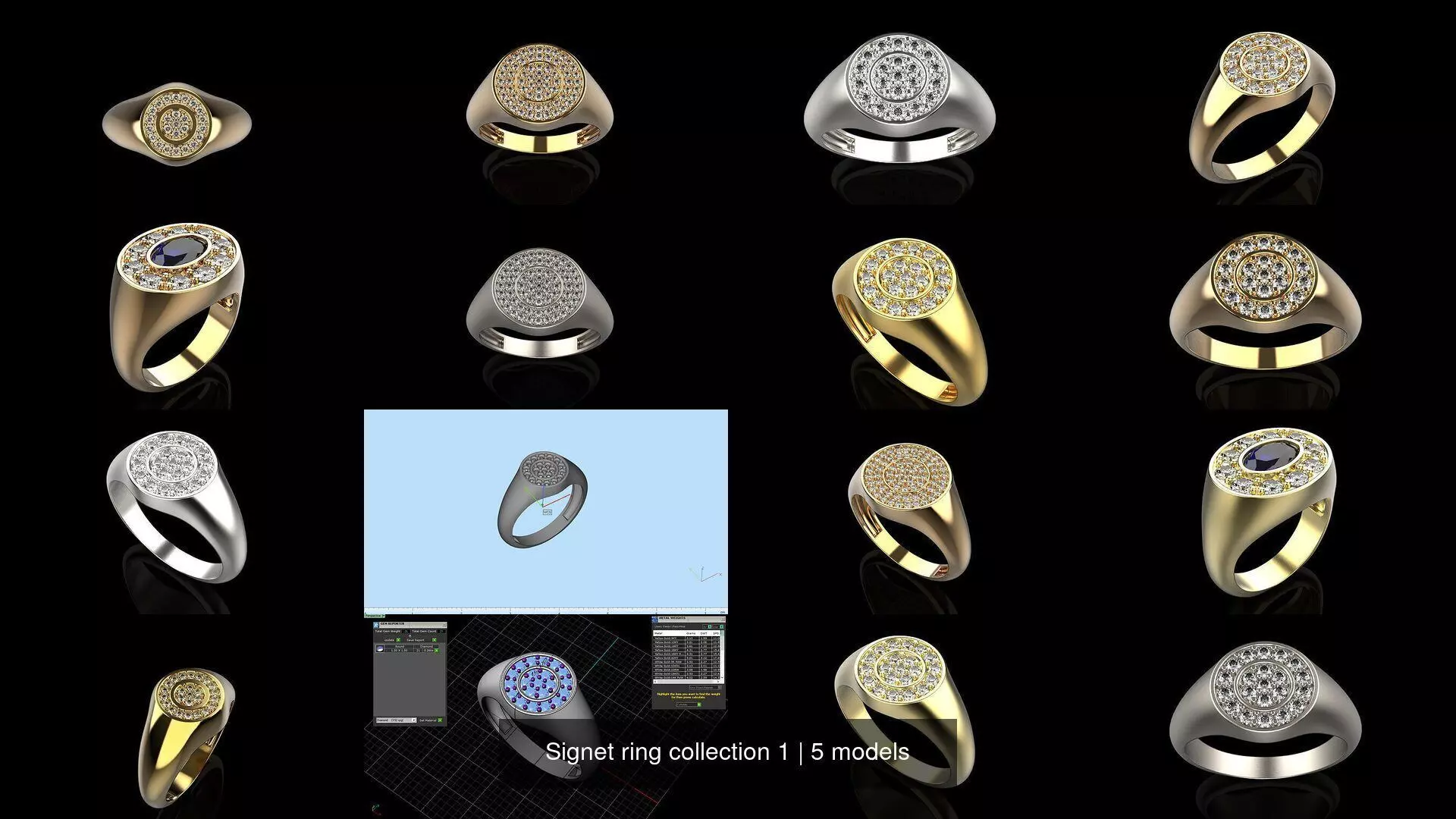 Signet ring collection 1 _0
