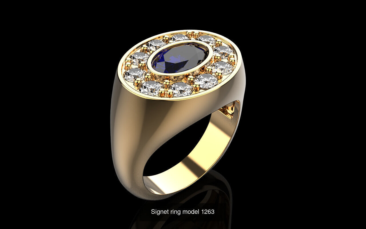 Signet ring collection 1 _5