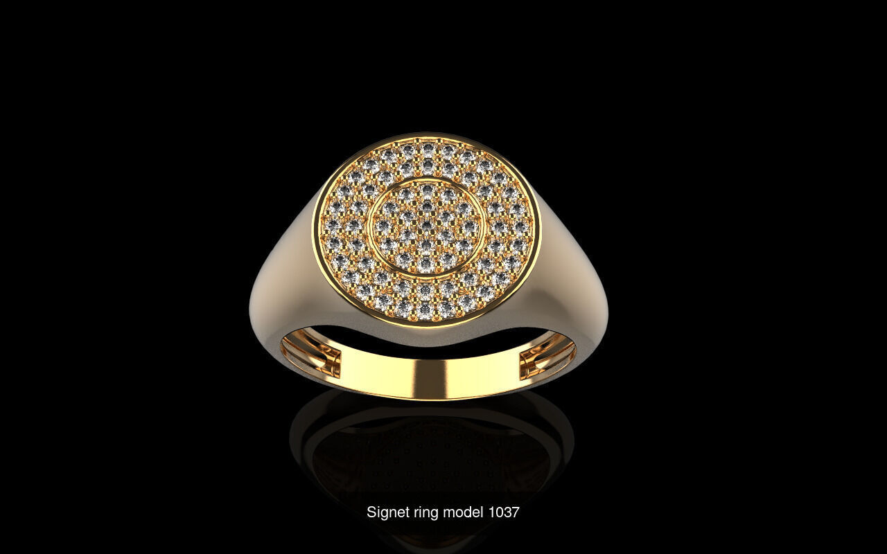 Signet ring collection 1 _2
