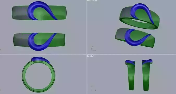 Couple Ring Heart  Amrit Maity