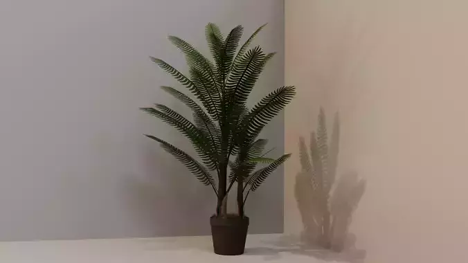 Interior Plant 1 - Palm