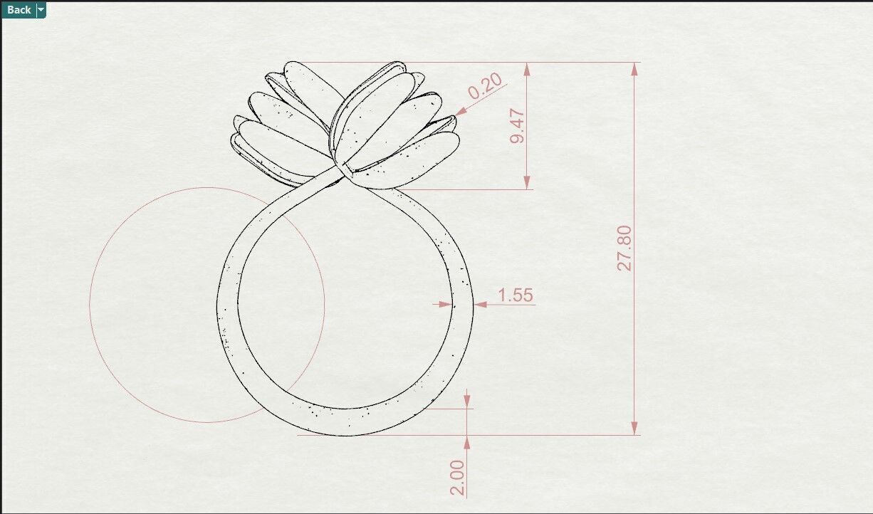 Magnolia 3D print model_3