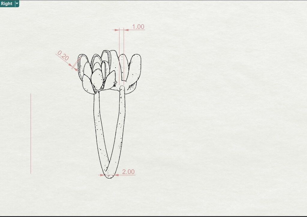 Magnolia 3D print model_4