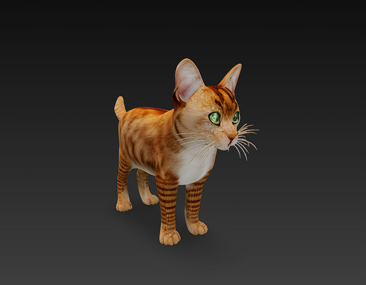 Cat Orange 3D Model Basic - Low Poly Simple Low-poly 3D model_1