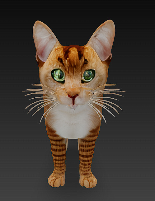 Cat Orange 3D Model Basic - Low Poly Simple Low-poly 3D model_5