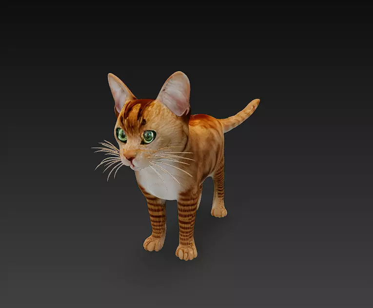 Cat Orange 3D Model Basic - Low Poly Simple Low-poly 3D model_0