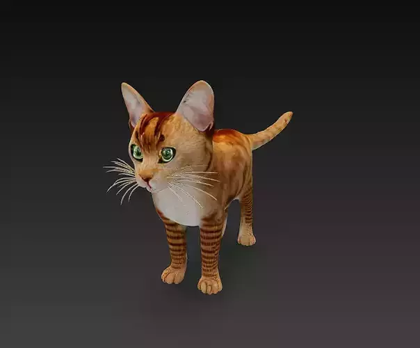 Cat Orange 3D Model Basic - Low Poly Simple