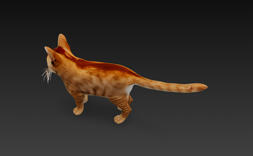 Cat Orange 3D Model Basic - Low Poly Simple Low-poly 3D model_4