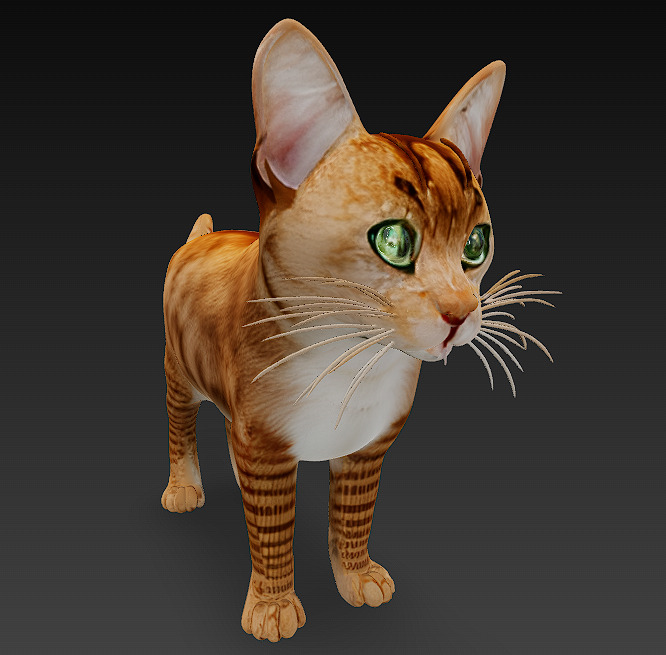Cat Orange 3D Model Basic - Low Poly Simple Low-poly 3D model_6
