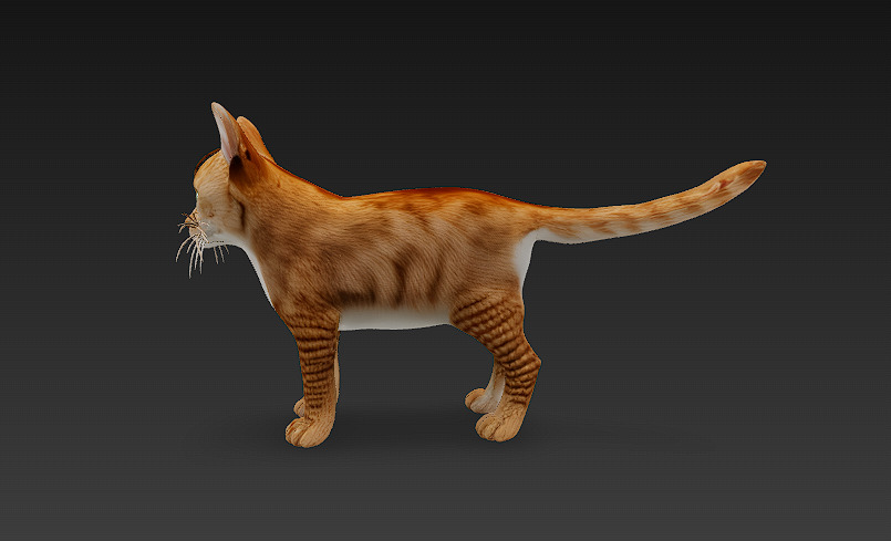 Cat Orange 3D Model Basic - Low Poly Simple Low-poly 3D model_2