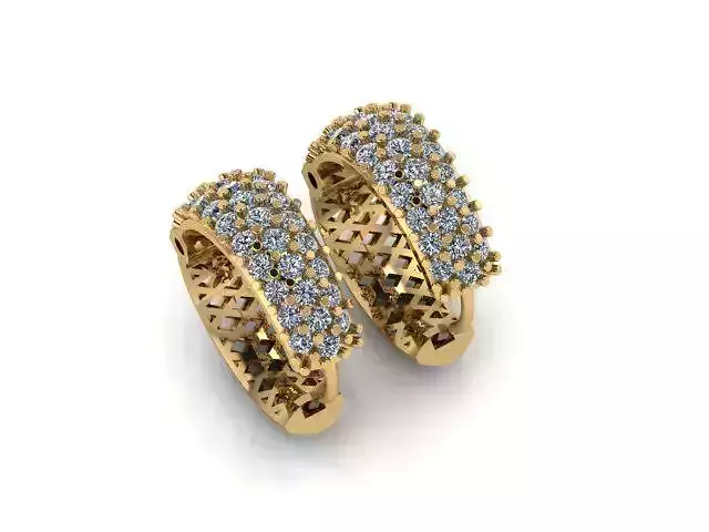 Hoop Diamonds Earrings