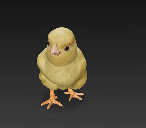 Chick Baby 3D Model Basic - Low Poly Simple Low-poly 3D model_6